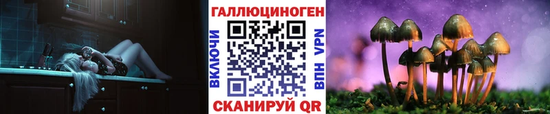 Псилоцибиновые грибы MAGIC MUSHROOMS Купить где Сураж